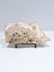 MOTTLE Tray  #8