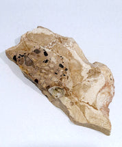 MOTTLE Tray  #8