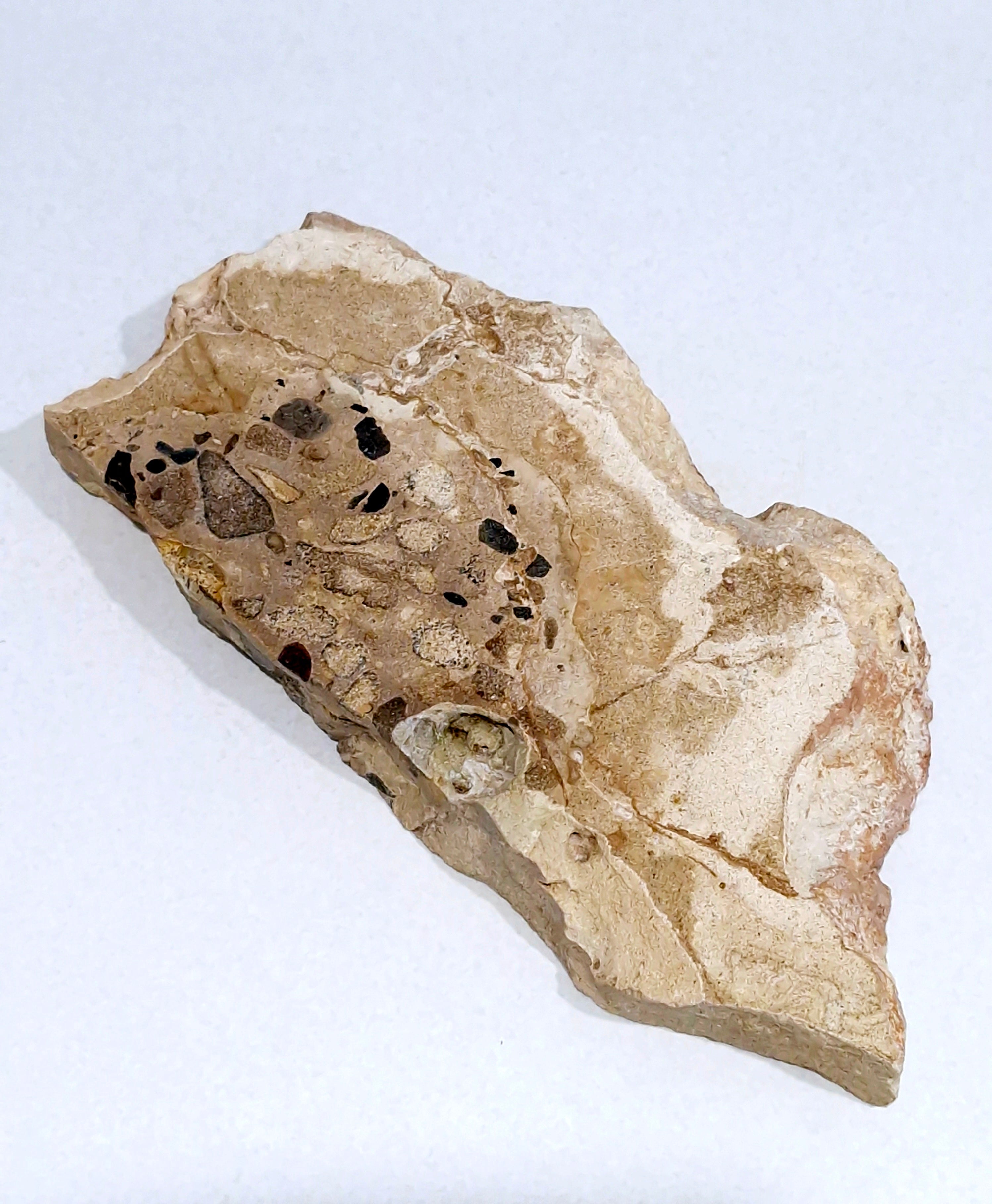MOTTLE Tray  #8