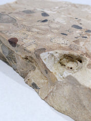 MOTTLE Tray  #8