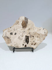 MOTTLE Tray  #7