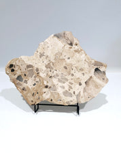 MOTTLE Tray  #7