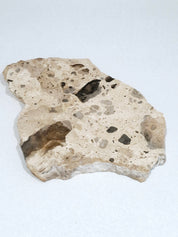 MOTTLE Tray  #7