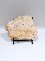 OCHRE #1