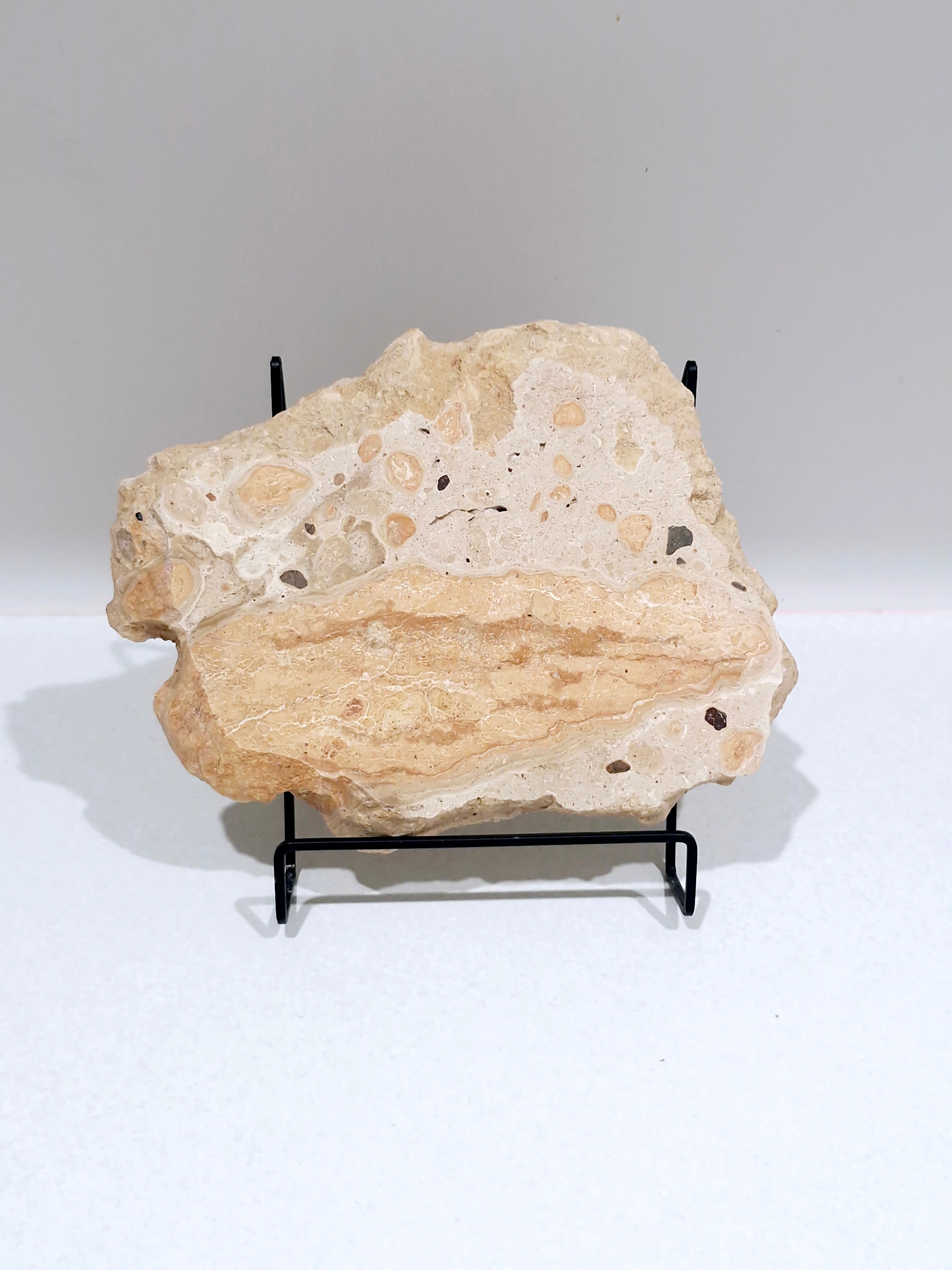 OCHRE #1