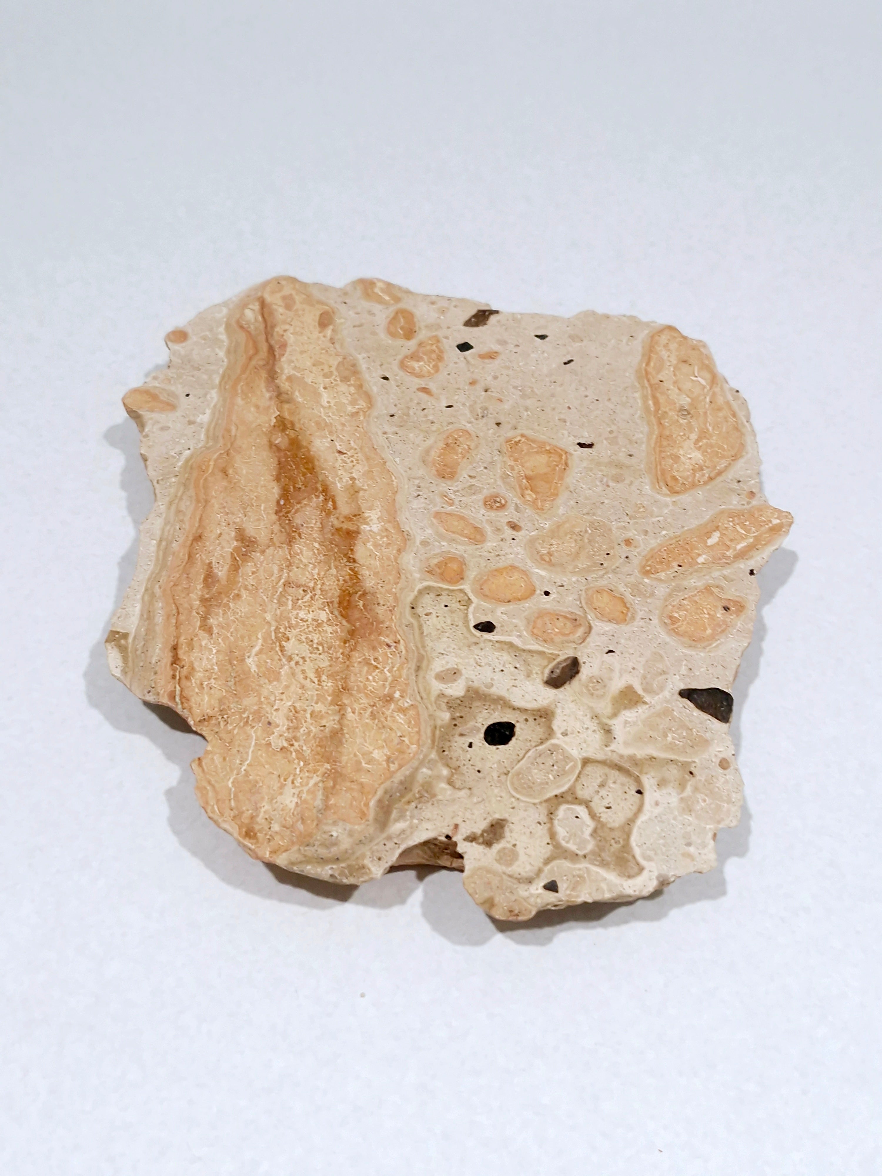 OCHRE #1