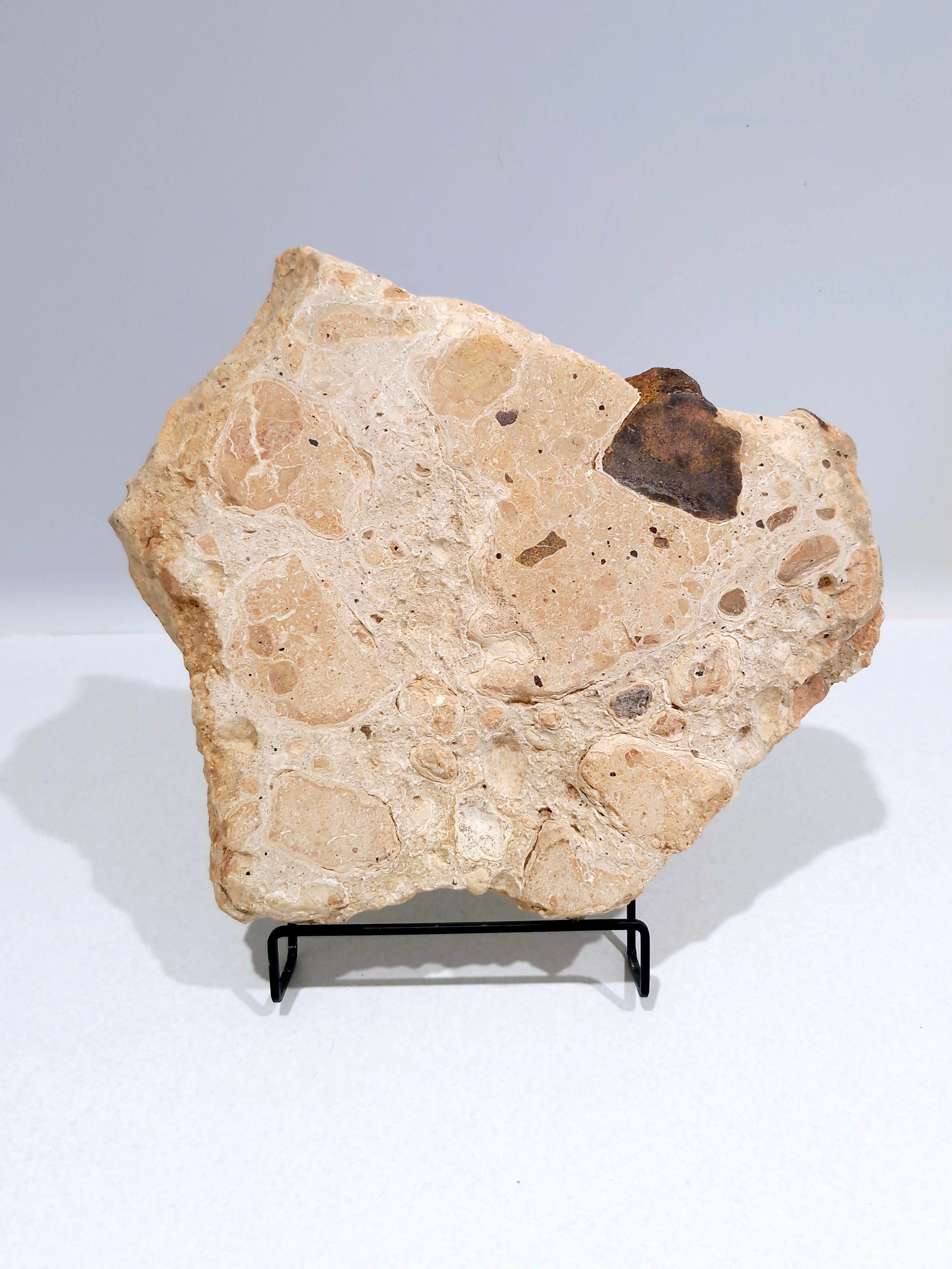 OCHRE #3