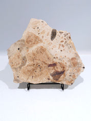 OCHRE #3
