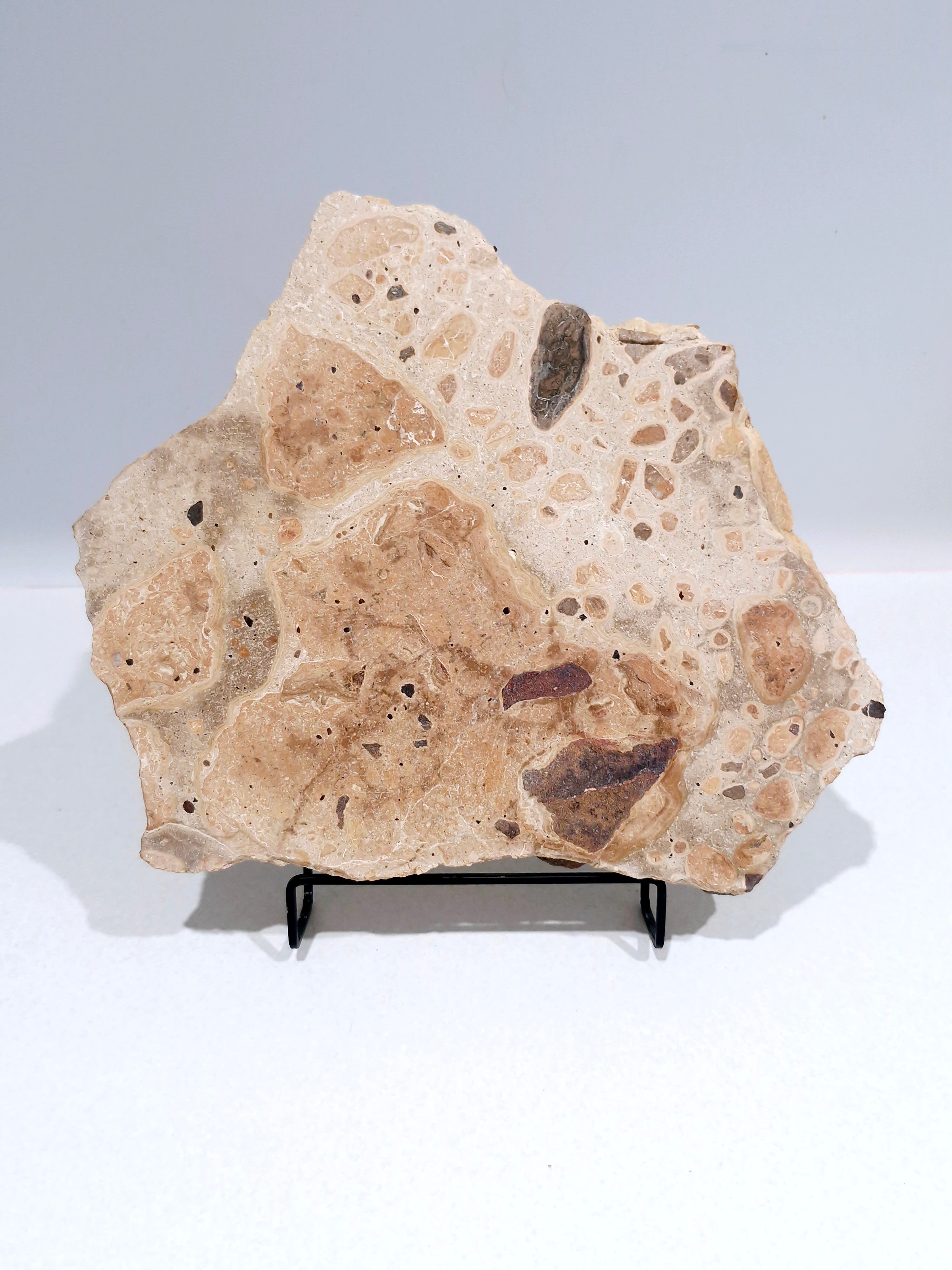 OCHRE #3