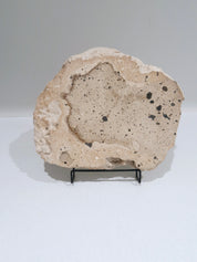 Nougat #2