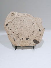 Nougat #2