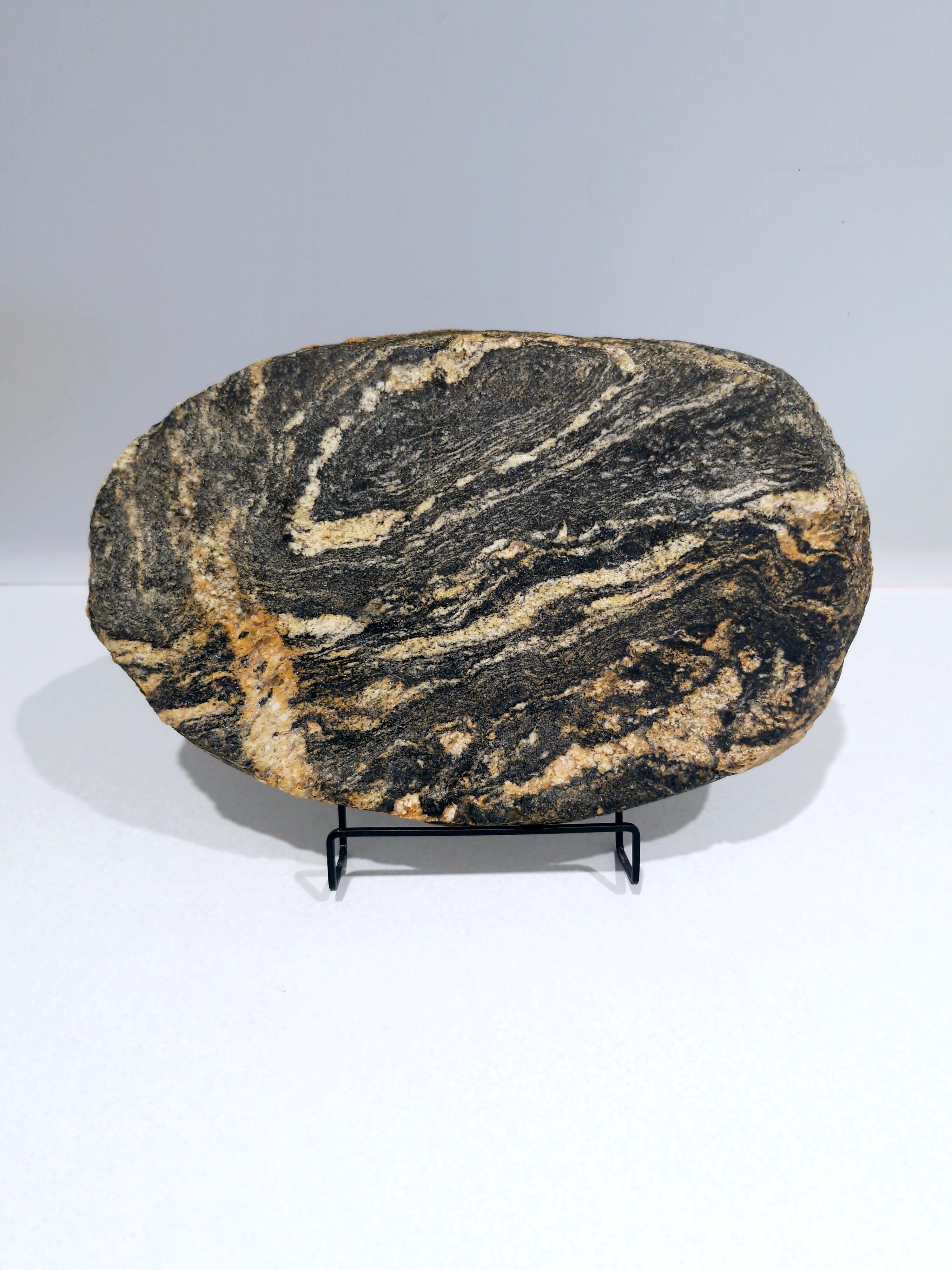 GNEISS Tray  #1
