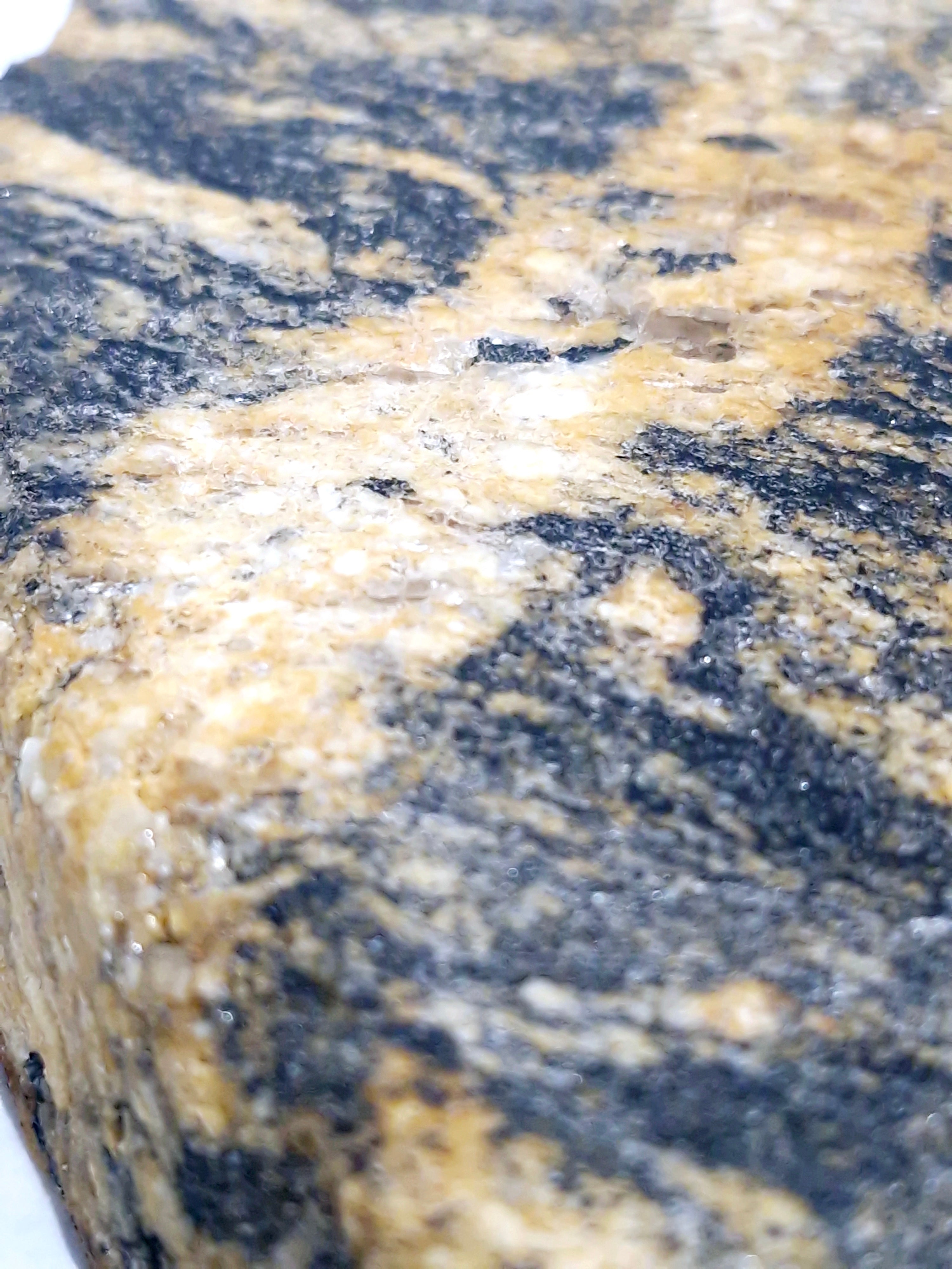 GNEISS Tray  #1