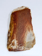 REDDEN #2