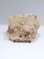 MOTTLE Tray  #5