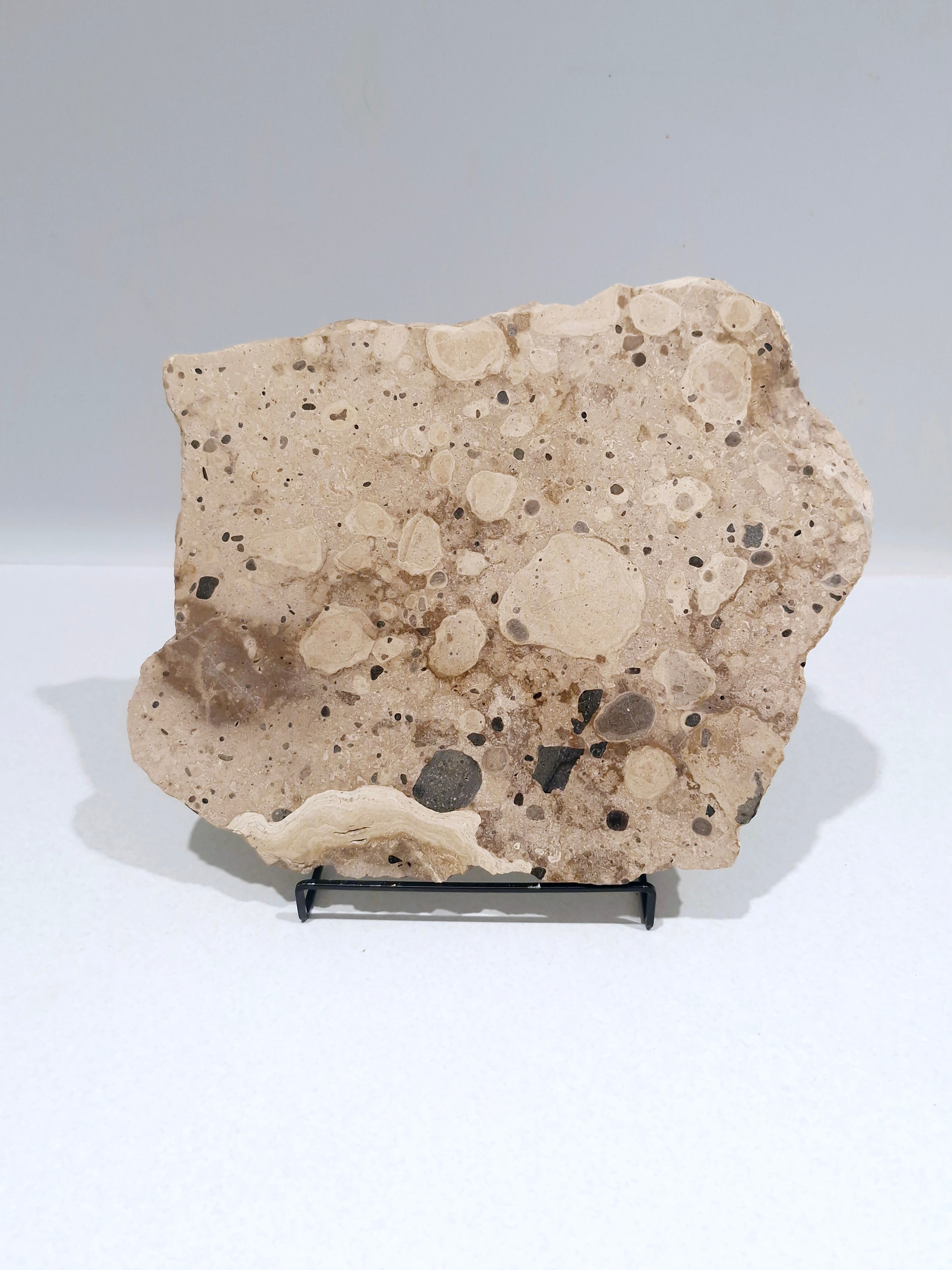 MOTTLE Tray  #5