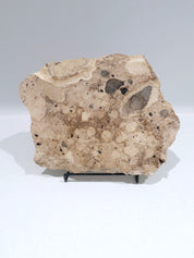 MOTTLE Tray  #5