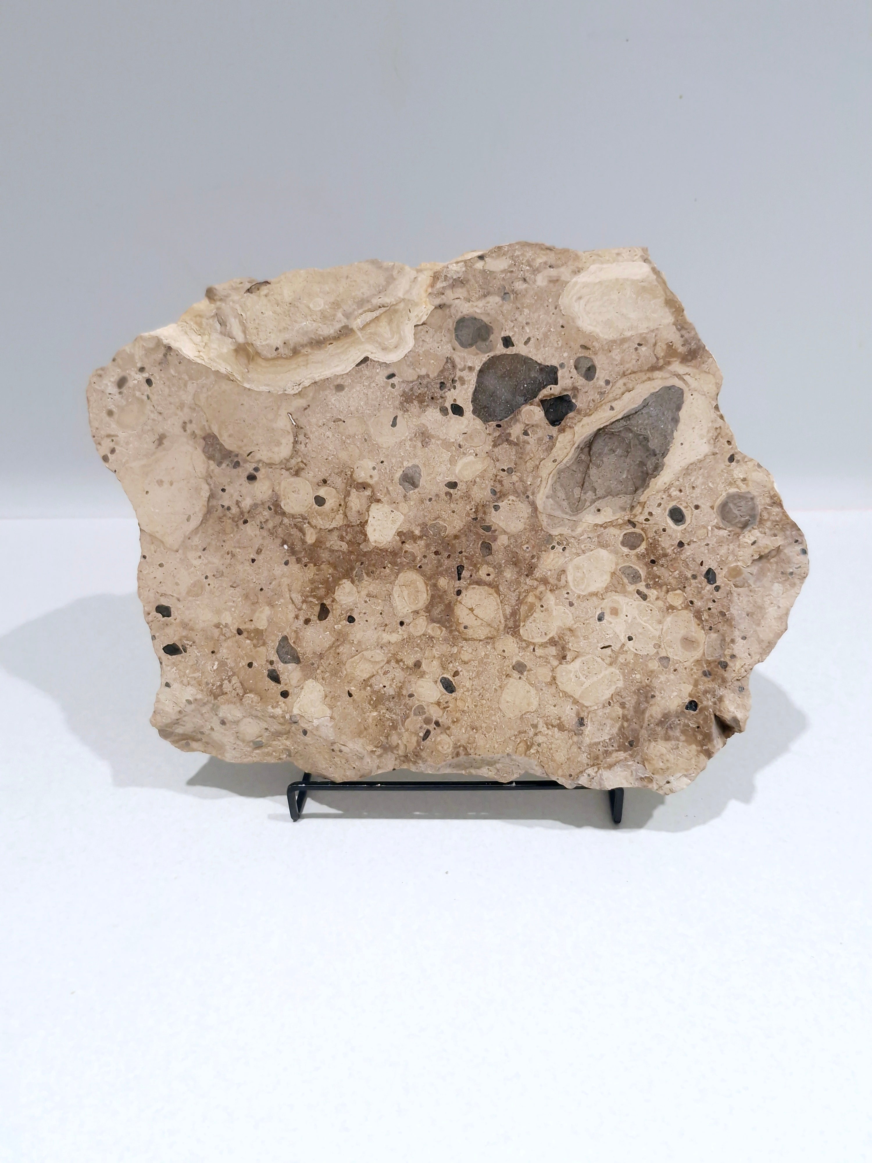 MOTTLE Tray  #5