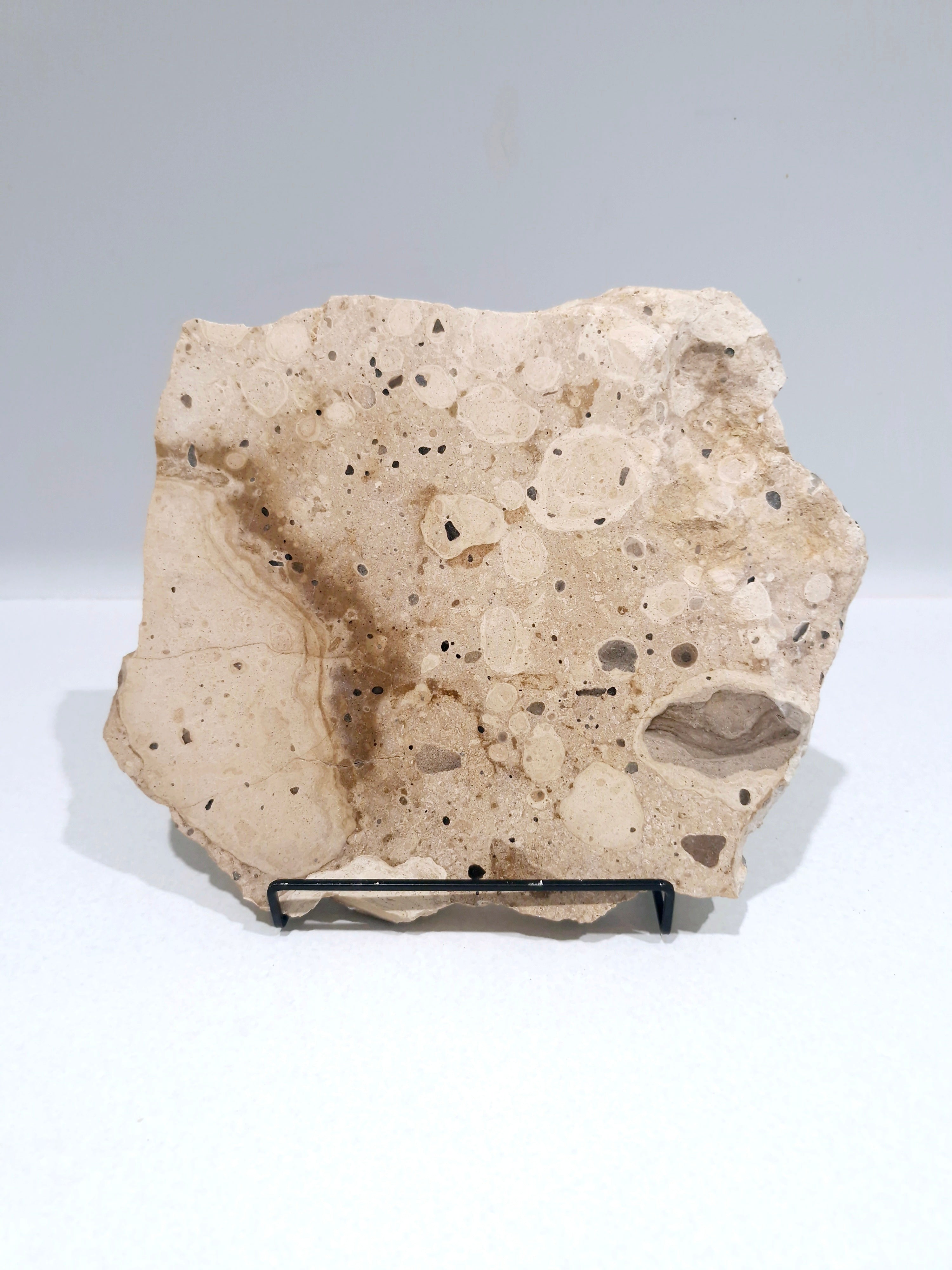 MOTTLE Tray  #6