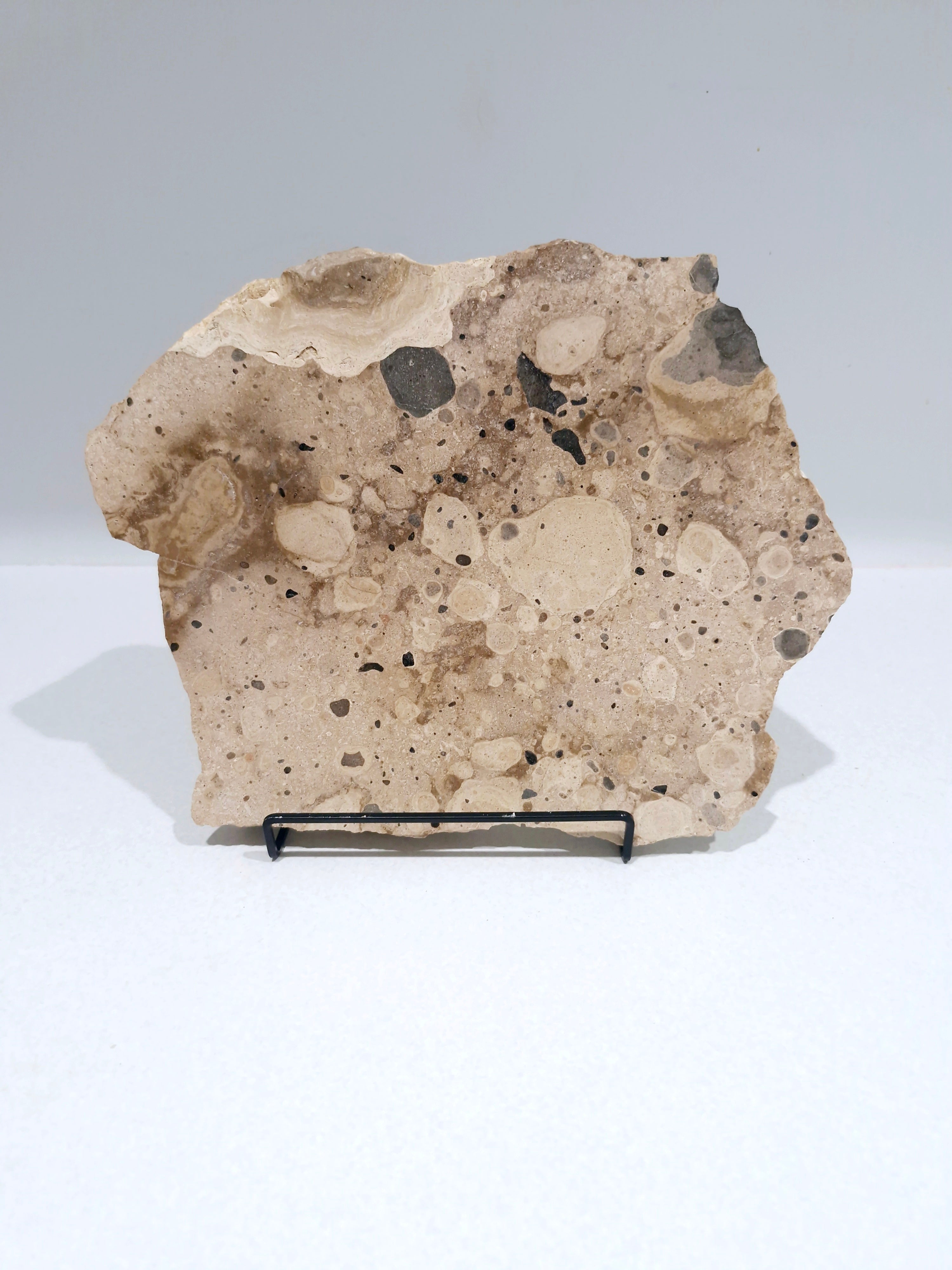 MOTTLE Tray  #6