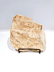 OCHRE #2