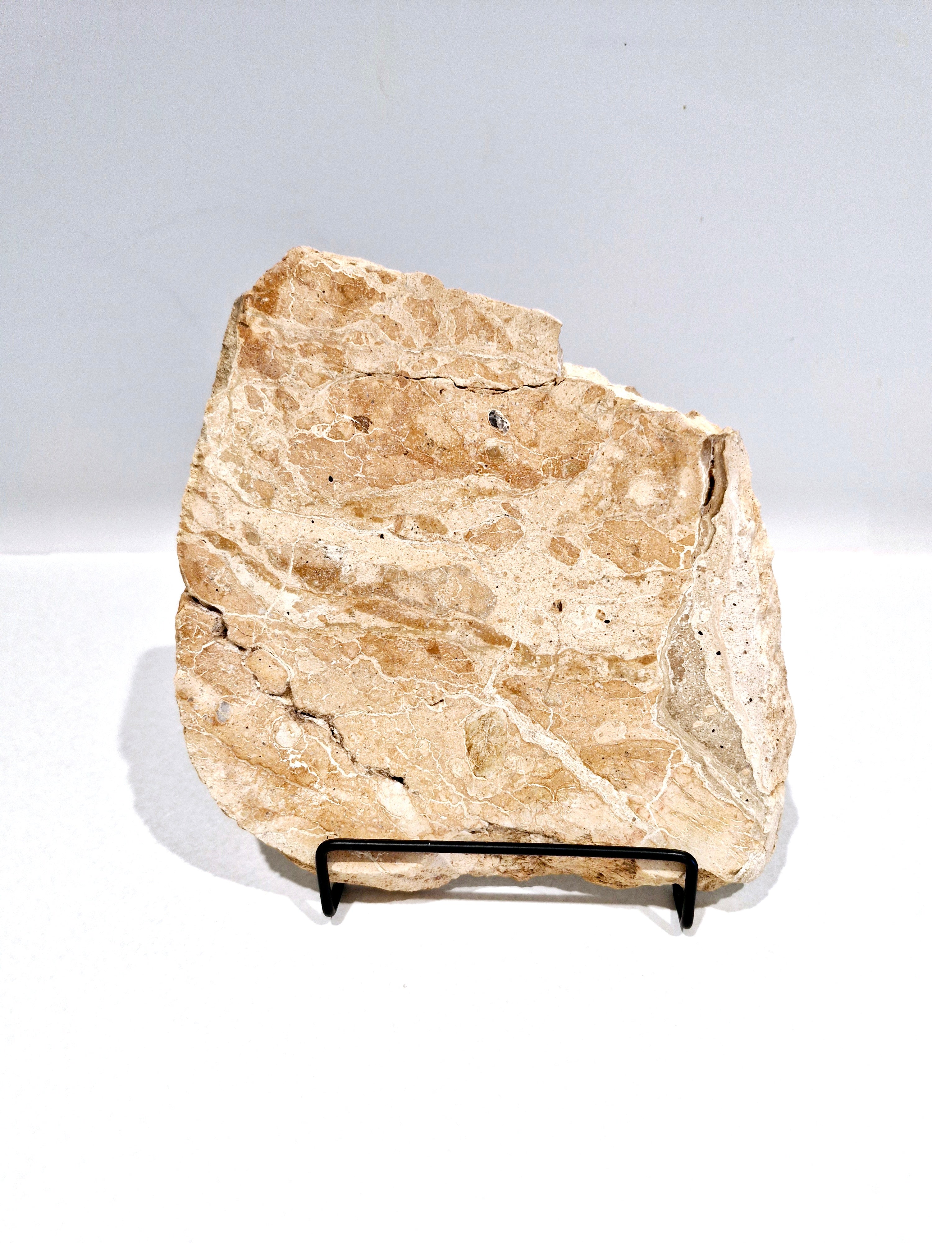 OCHRE #2