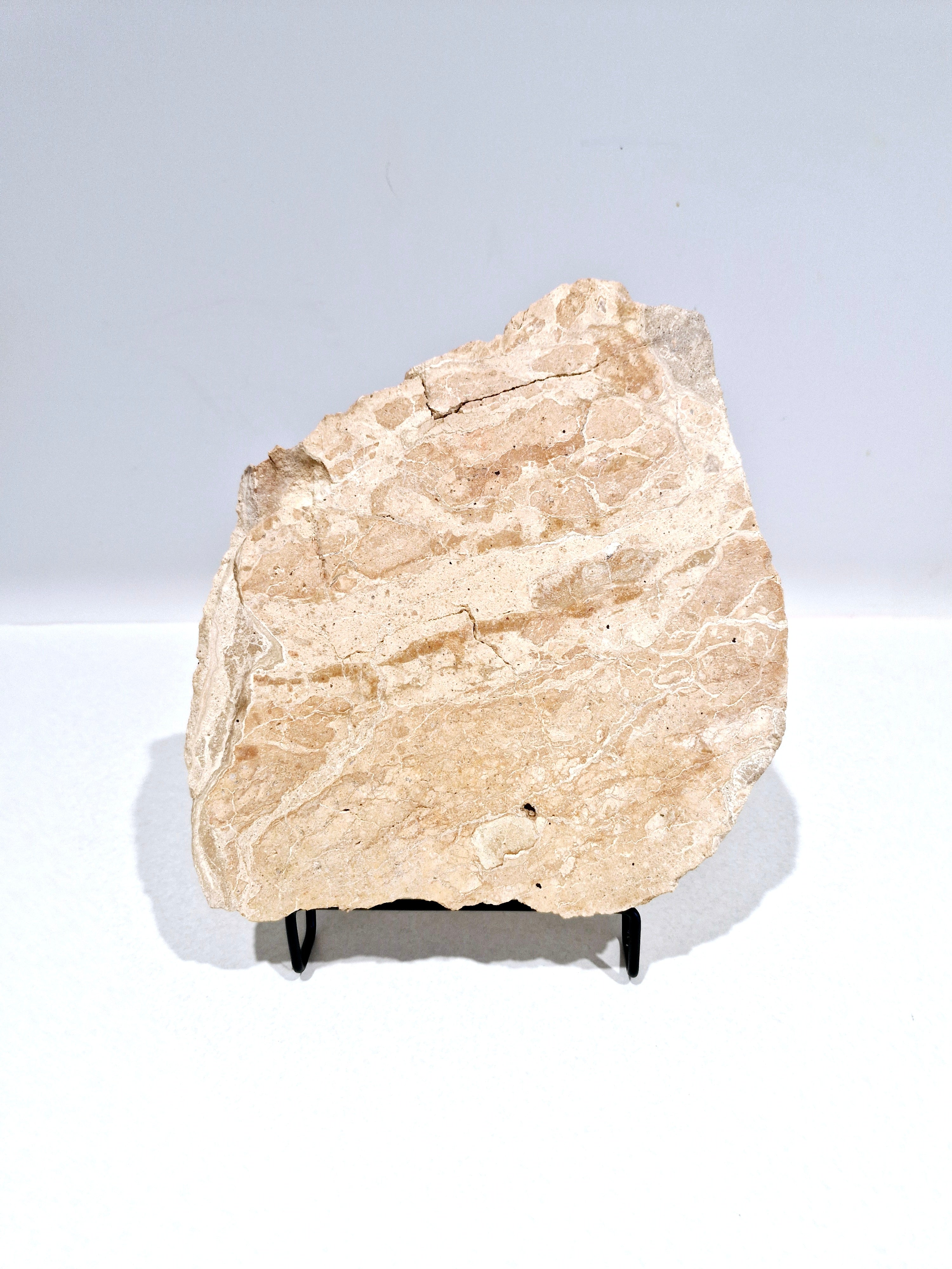 OCHRE #2