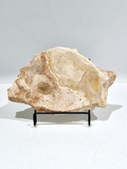 Golden Gem #2