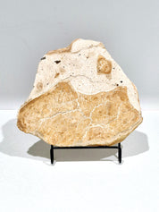 OCHRE #4