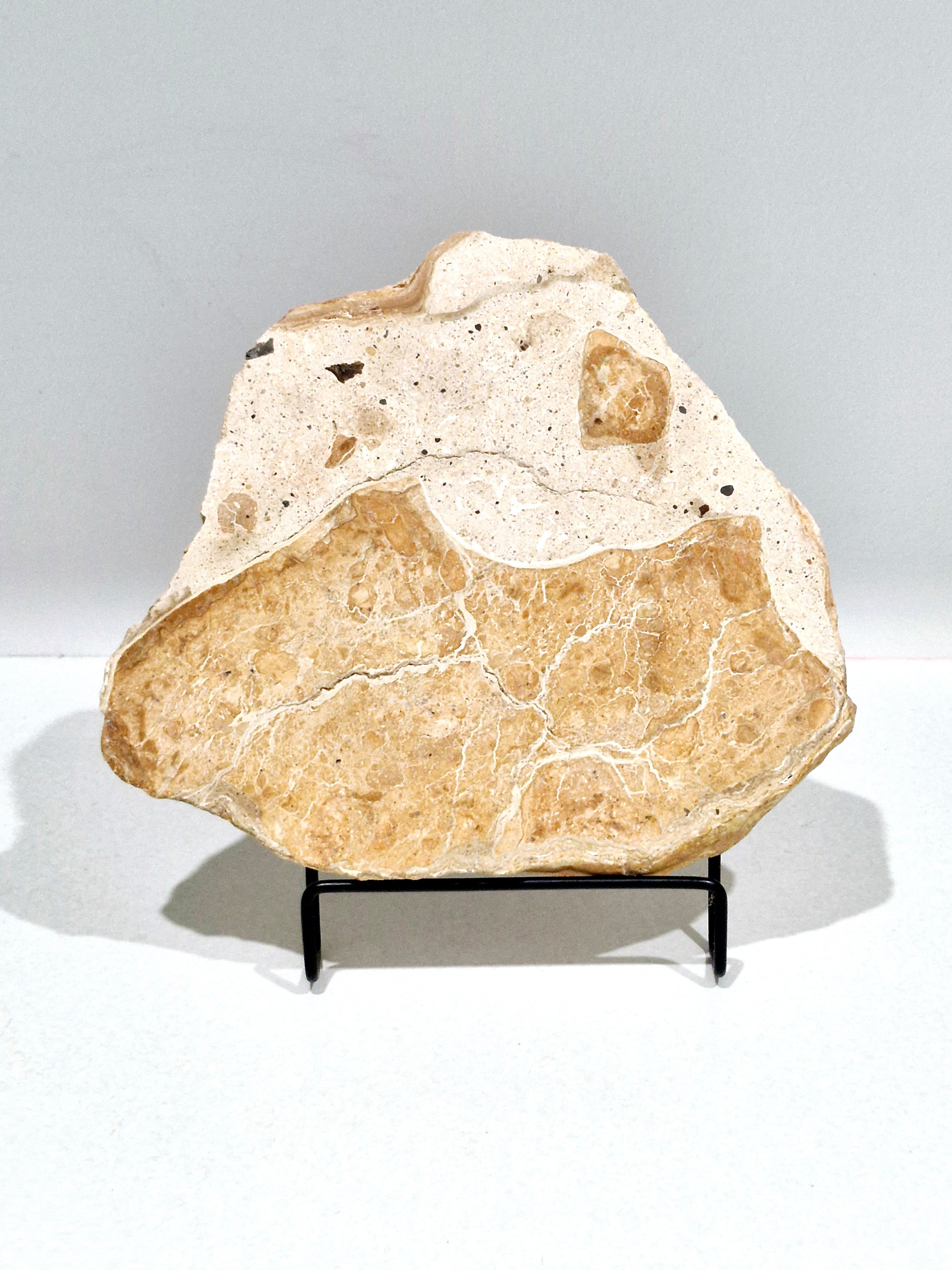 OCHRE #4