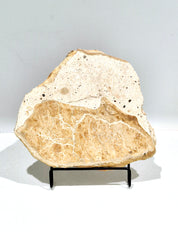 OCHRE #4