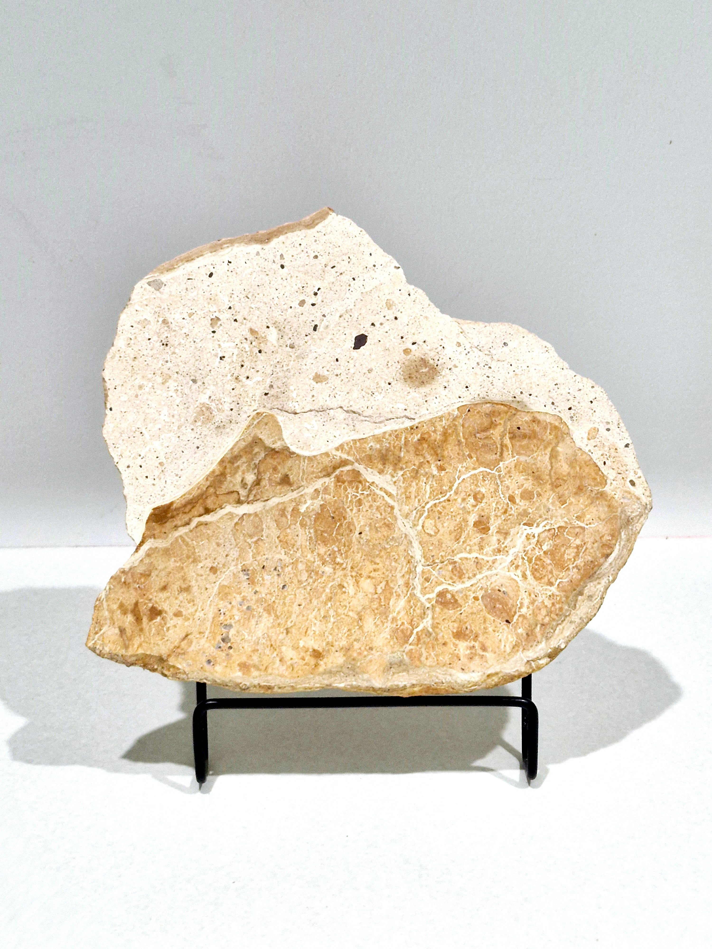 OCHRE #5