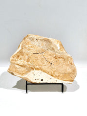 OCHRE #6