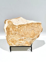 OCHRE #6