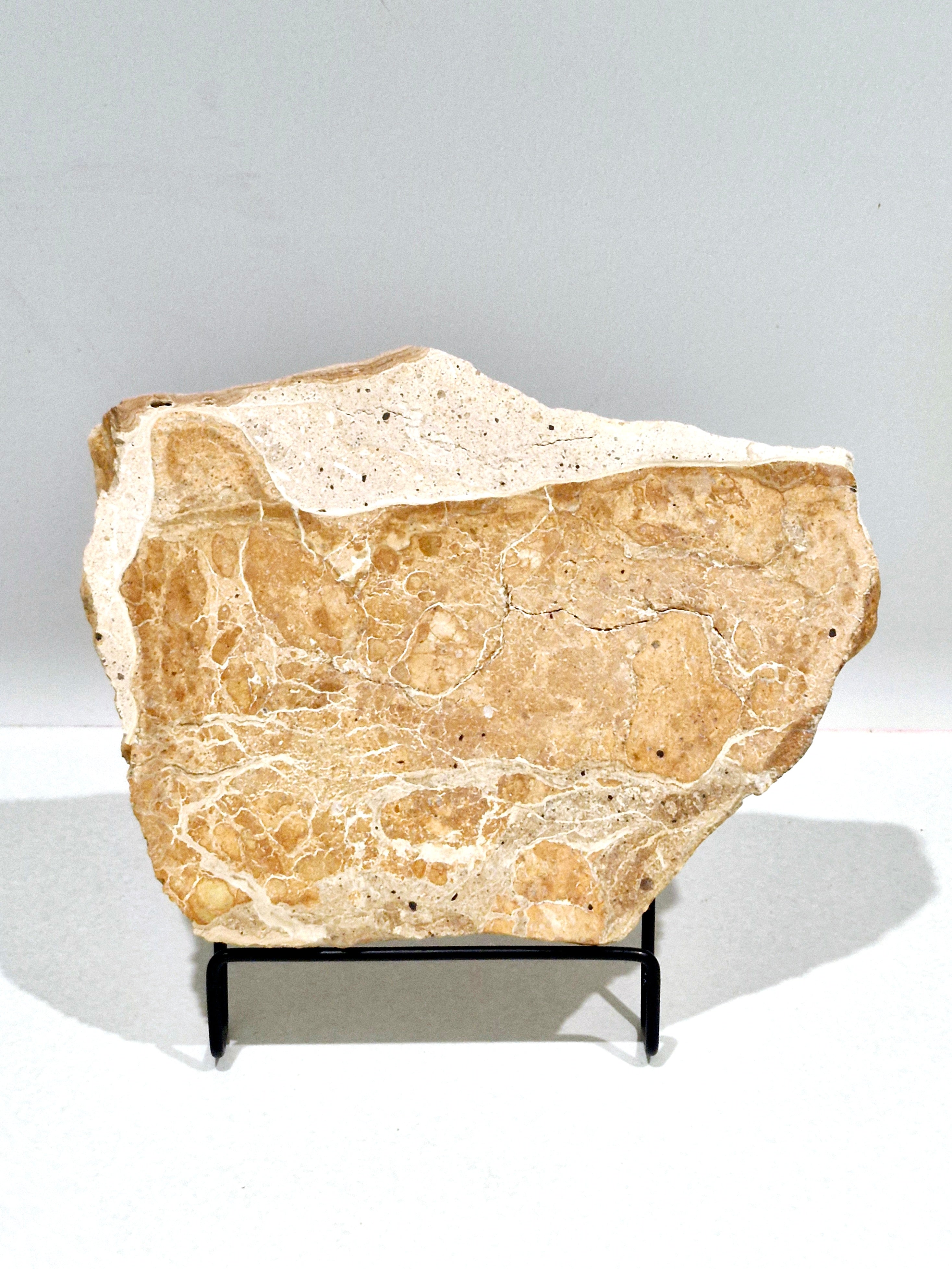 OCHRE #6