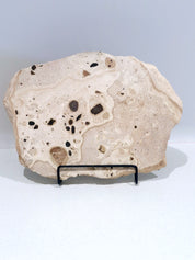Mottle Tray  #2