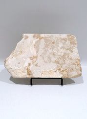 Creme Tray (straight back) #1