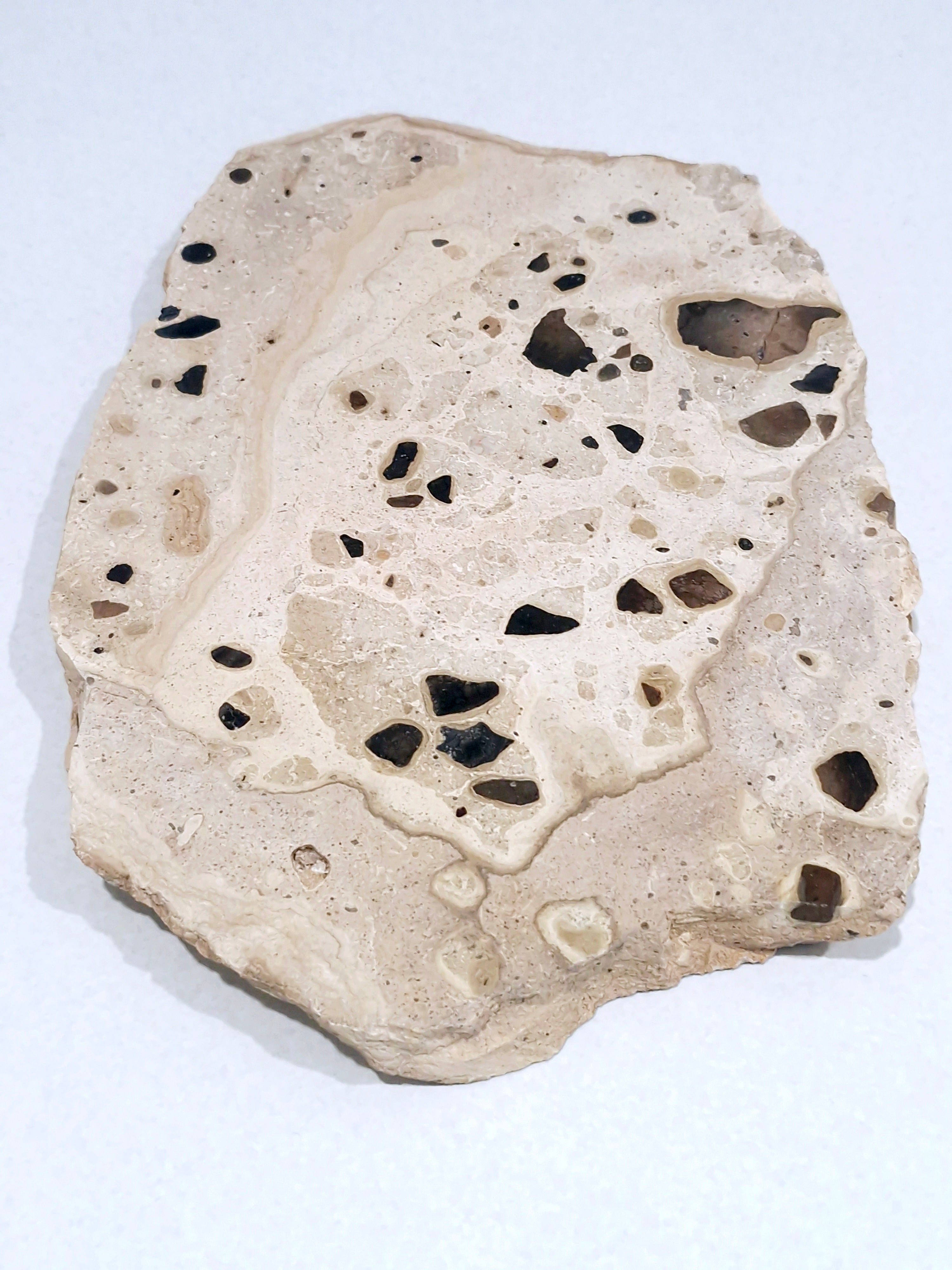 Mottle Tray  #2