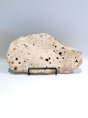 Mottle Tray  #3