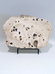Mottle Tray  #2