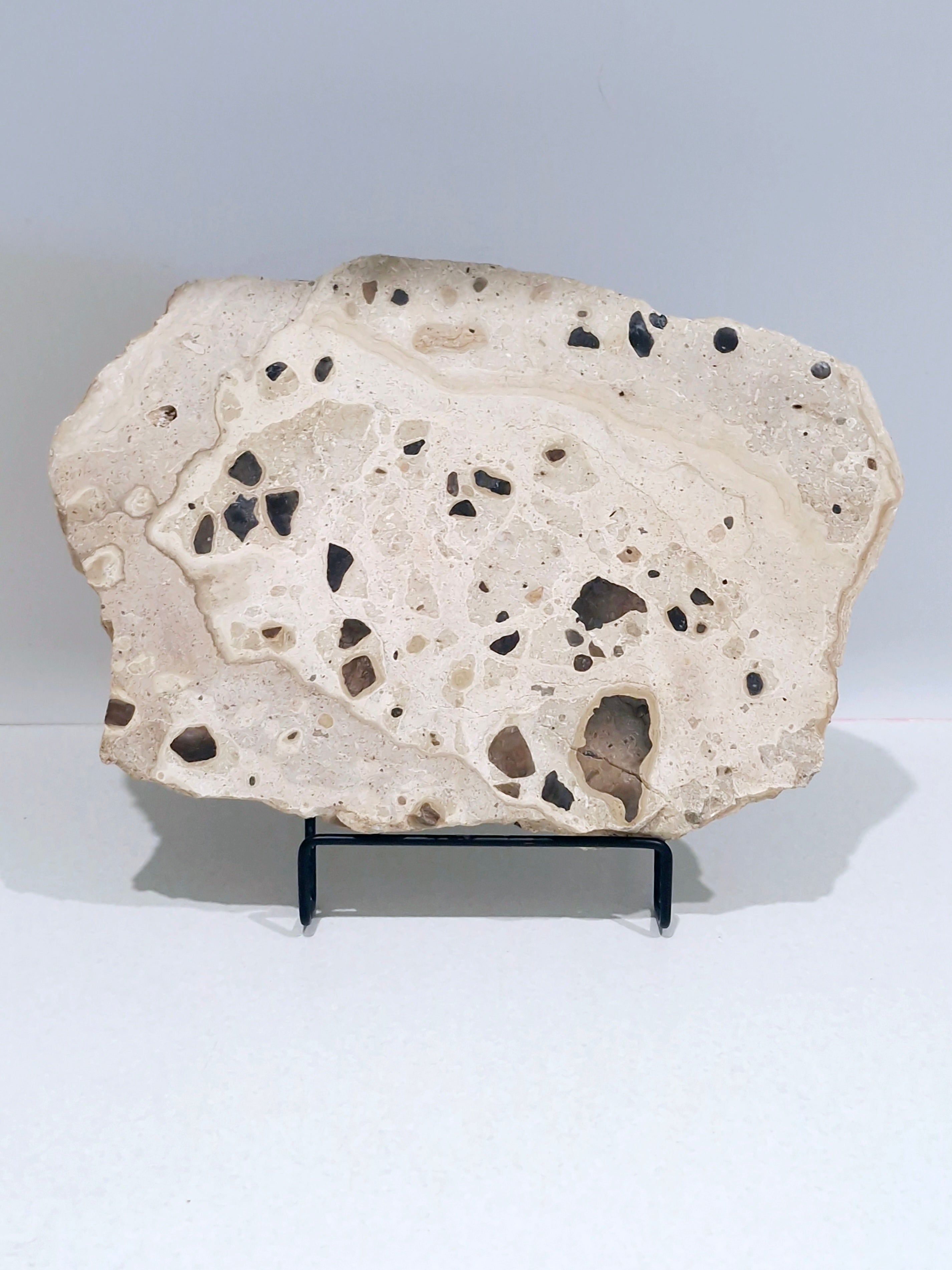 Mottle Tray  #2