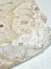 Creamy and Dreamy #6
