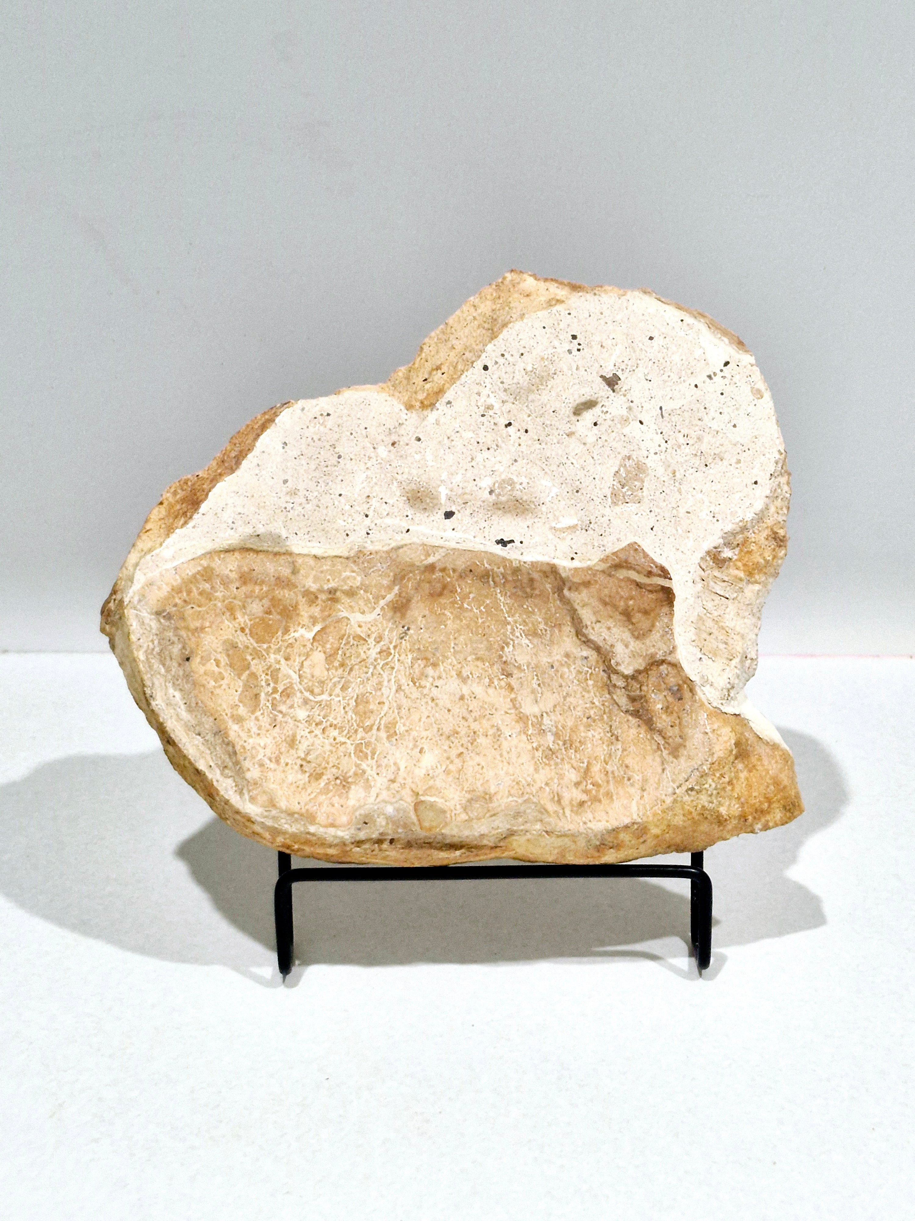 OCHRE #5