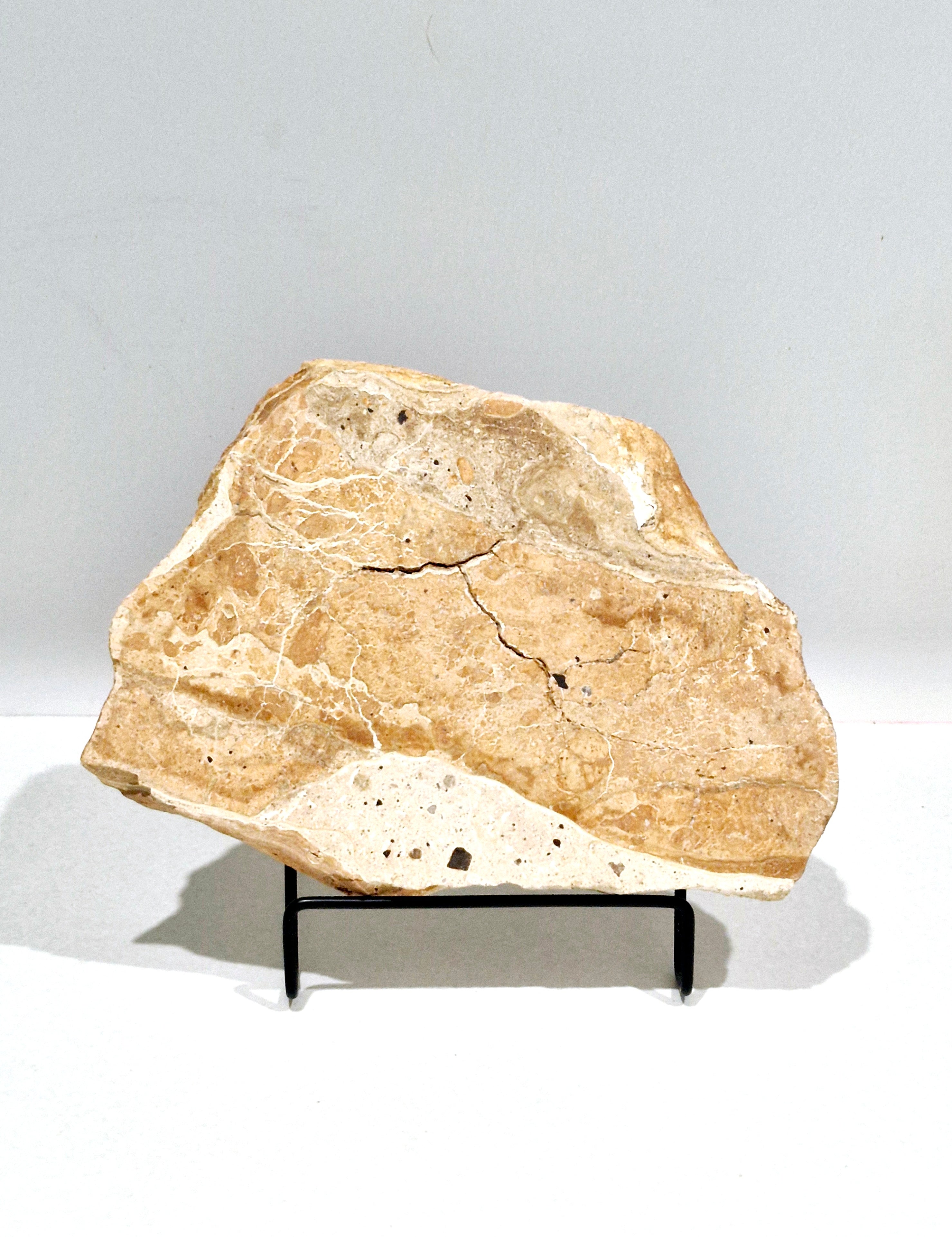 20250823-082444.jpg
