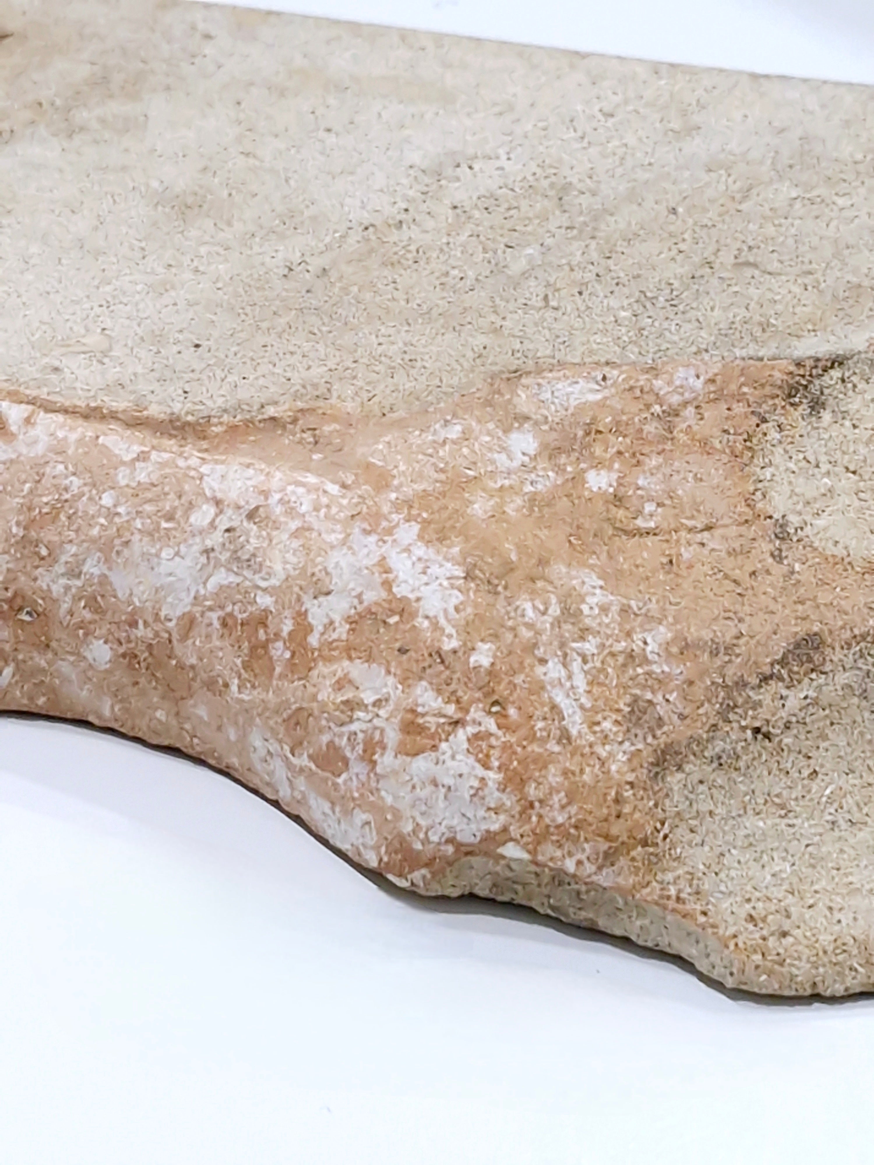 Creme Tray (straight back) #2