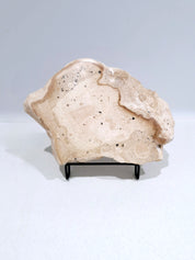 Creamy and Dreamy #2