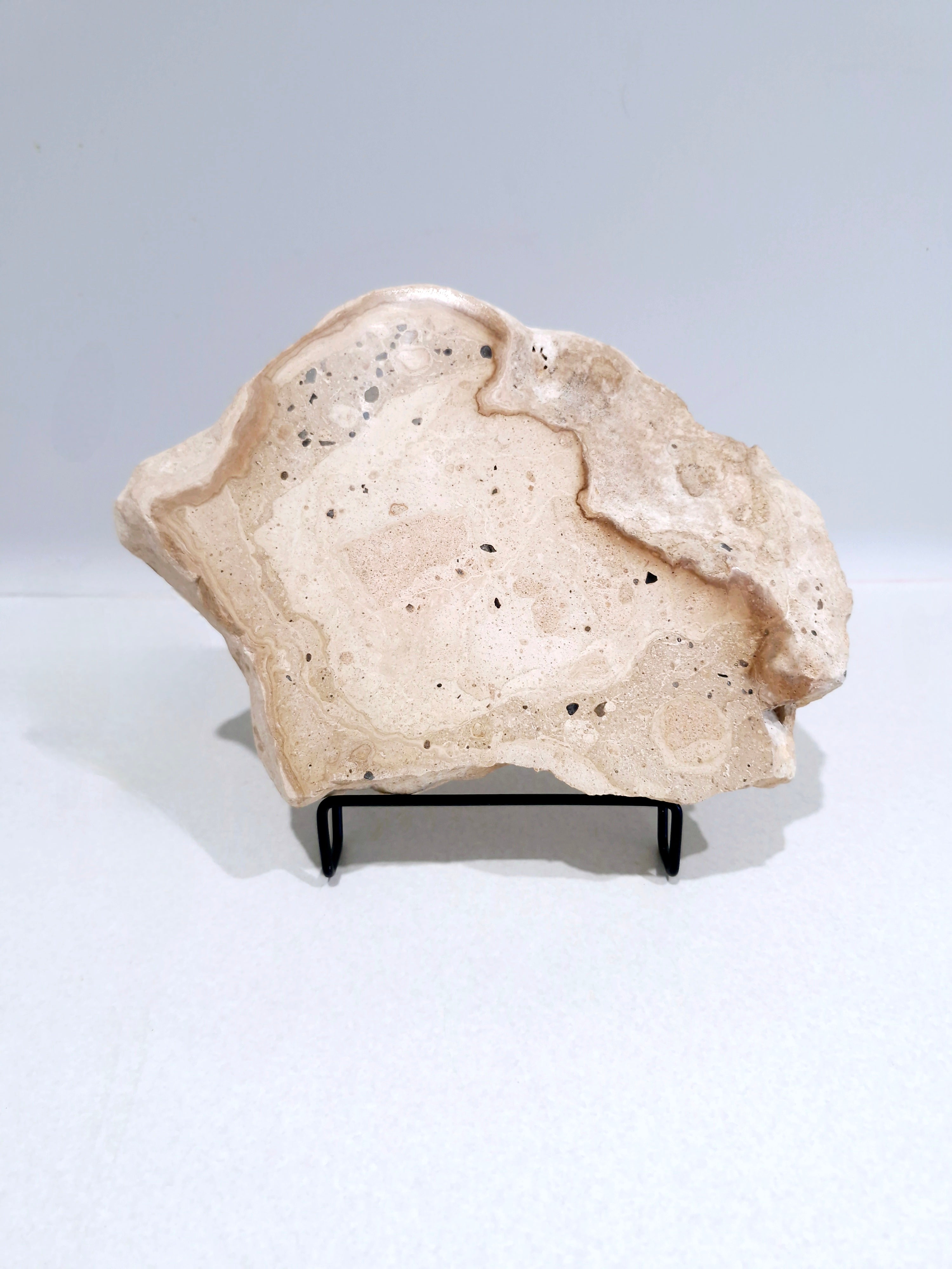 Creamy and Dreamy #2