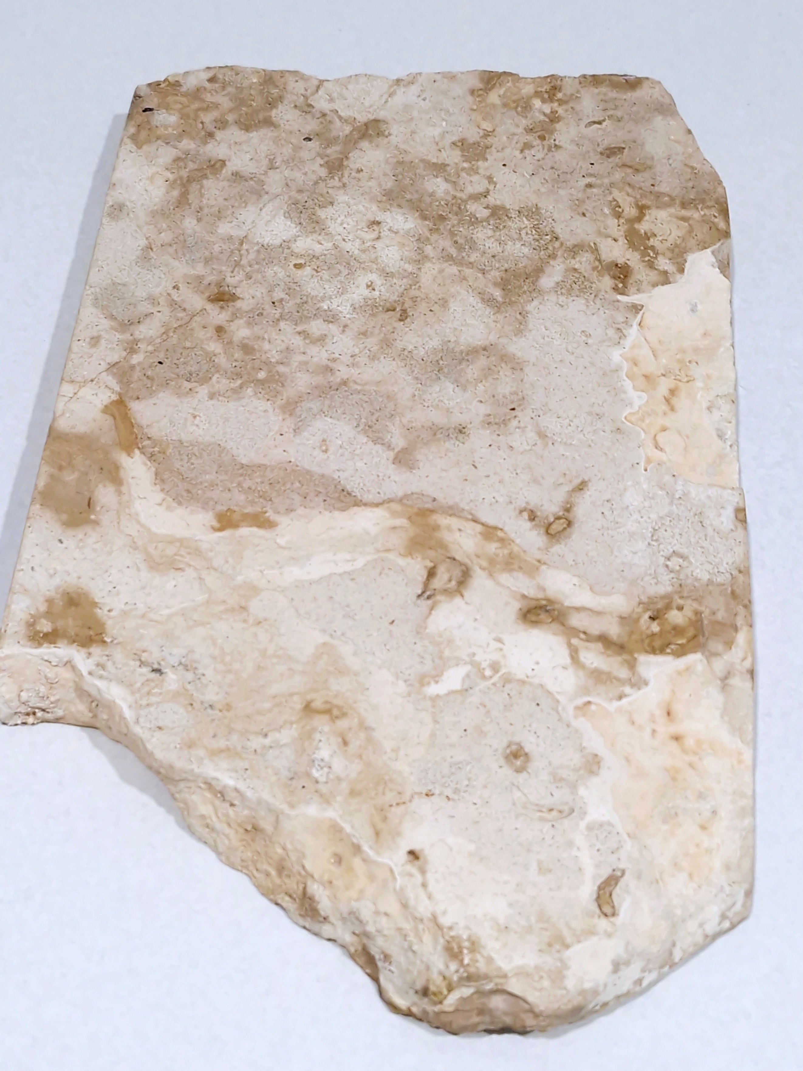Creme Tray (straight back) #1