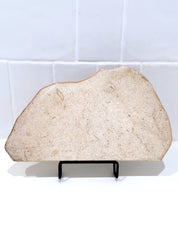 Creme Tray (straight back) #2