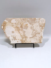 Creme Tray (straight back) #1